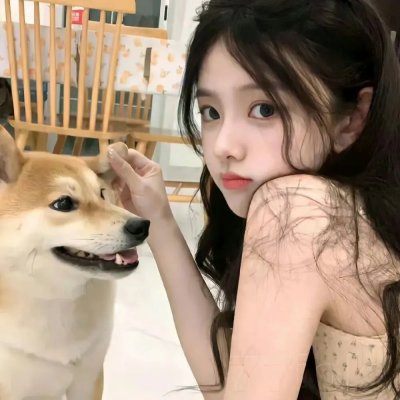 北京女子图鉴之失恋直播